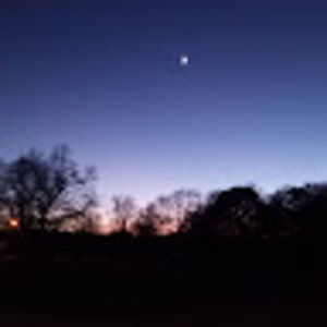 Meet your Posher, Alina